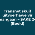 Transnet skuif uitvoerhawe vir mangaan – SAKE 24 (Beeld)